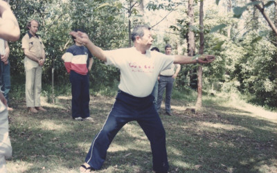 Memories of Saito Sensei